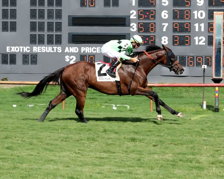 BRILLIANT BERTI - Green River Island Stakes - 08-02-26 - R10 - Ellis Park - Finish 01 - Cady Coulardot