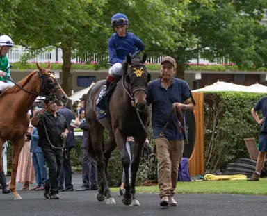 Attard stable stacked for Catch a Glimpse, Soaring Free