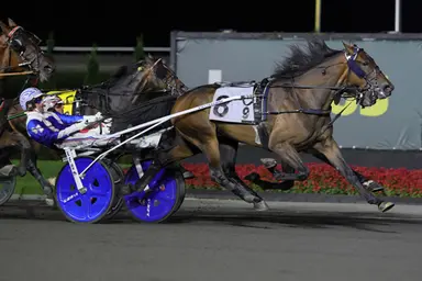 Woodbine Mohawk Park:  Nix Nacken foils stablemate Apex in Canadian Trotting Classic final