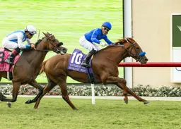 Somerset West bursts up inside to win San Clemente