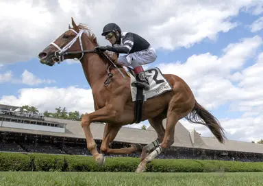 Glycogen runs down Mel Went Home to spring minor upset in P.G. Johnson