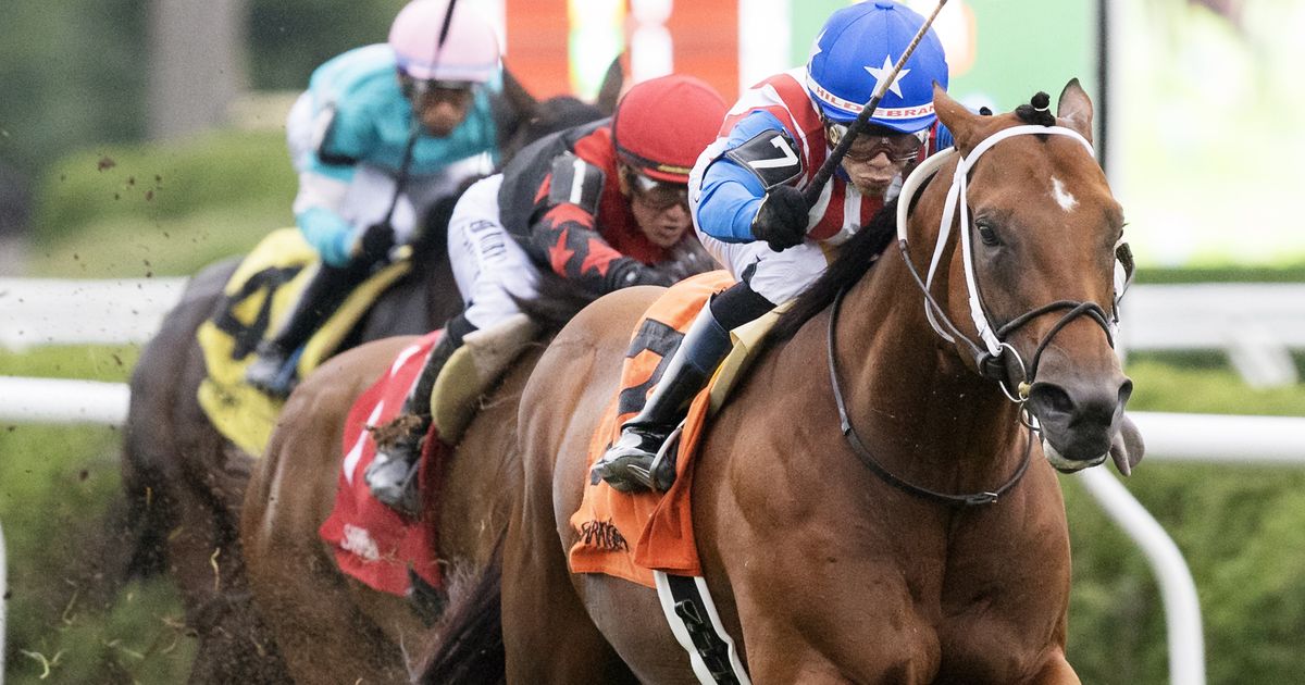 Stradale, on turf again, edges Oscar's Hope in Mahony upset