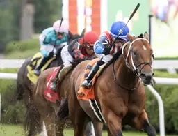 Stradale, on turf again, edges Oscar's Hope in Mahony upset