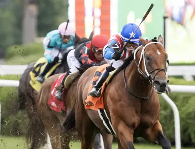 Stradale, on turf again, edges Oscar's Hope in Mahony upset