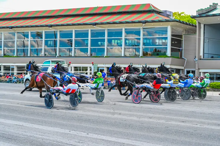 Saratoga Harness 3-13-26