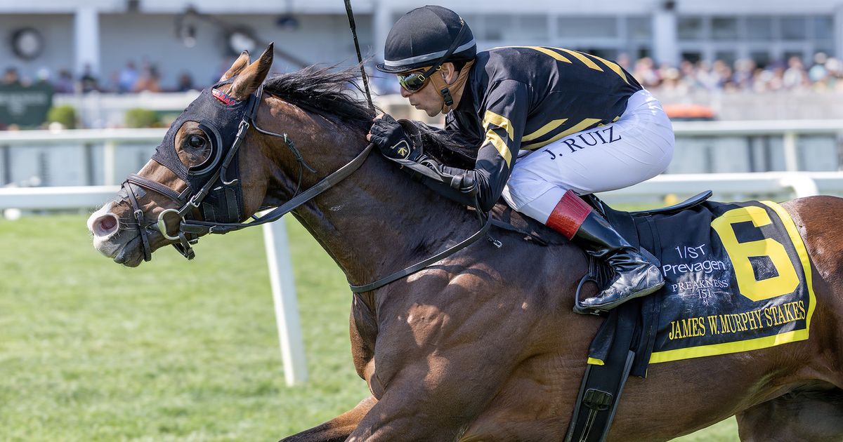 Turf Star finds much easier spot in Showing Up Stakes
