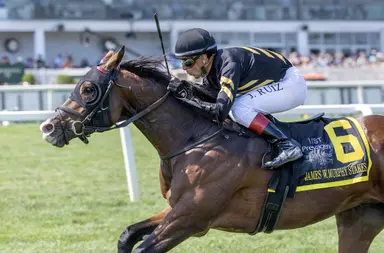 Turf Star finds much easier spot in Showing Up Stakes