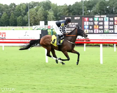 Brion expecting a strong effort from Anoint in Randolph Stakes
