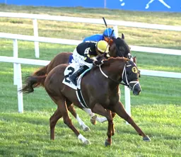 Chasing the Crown wins Tight Spot Handicap for second straight year