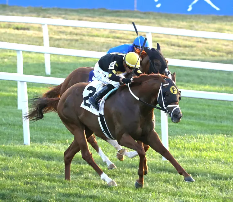 Chasing the Crown beats Maycocks Bay in Tight Spot Handicap at KD Aug 29 2026