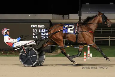 Northfield:  Sangria Summer wires foes in Grade 3 Courageous Lady