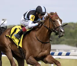 Warming gives Motion pleasant surprise in Gallorette Stakes