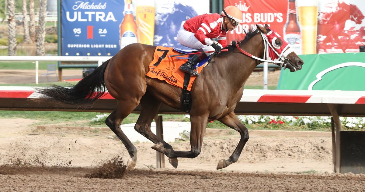 Caps and Carnage continues road show, heads to Arapahoe Park for Gold Rush
