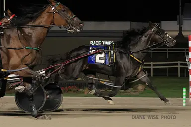 Northfield:  Melillo doesn't disappoint in Carl Milstein Memorial