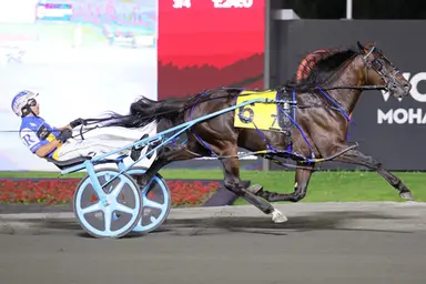 Woodbine Mohawk Park:  Roy prevails in both Tompkins-Geers paces