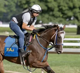 Caroline's Girl enters Adirondack off impressive debut score in Texas