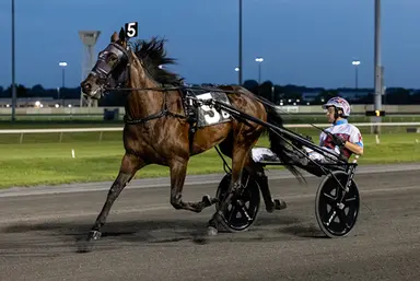 Meadowlands: Takter seeks more Hambo Day hardware in $500K Oaks final