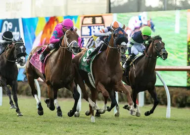 Gold Phoenix catches Cabo Spirit late in Eddie Read for record sixth Del Mar stakes win