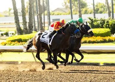 Baffert, with Sabino Canyon, continues to rule Los Alamitos Derby