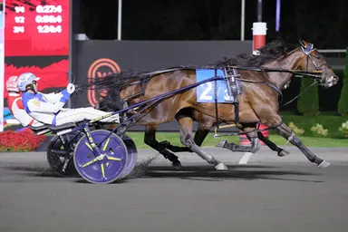 Woodbine Mohawk Park:  Eleganimage Stakes eliminations held
