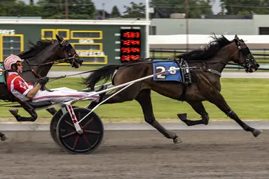 Batavia:  Bailey J best in New York Sire Stakes