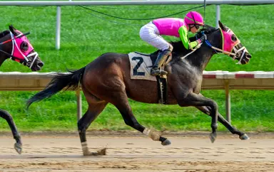 Barbadian Runner a heavy favorite to repeat in Maryland Million Classic