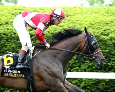 Breeders’ Cup Turf: Burnham Square could get preferred conditions