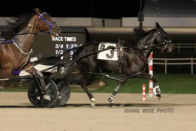 Northfield:  Ohio Fairs Championships occur on Courageous Lady undercard