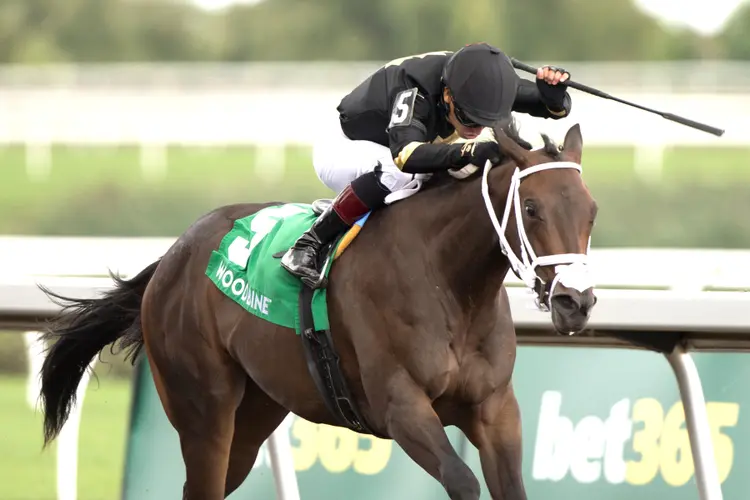 Souper Diva wins Muskoka at WO Aug 24 2025