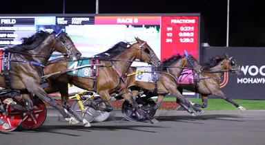 Woodbine Mohawk Park:  Unstable Genius overcomes traffic in OSS Gold Series victory