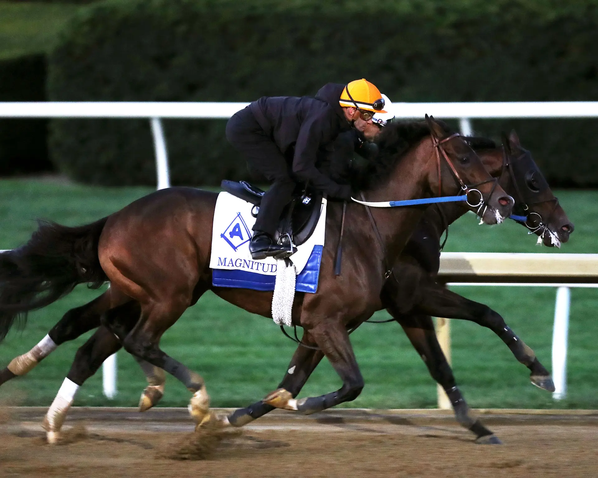 Breeders' Cup Clocker: Magnitude, others get in work at frigid Keeneland