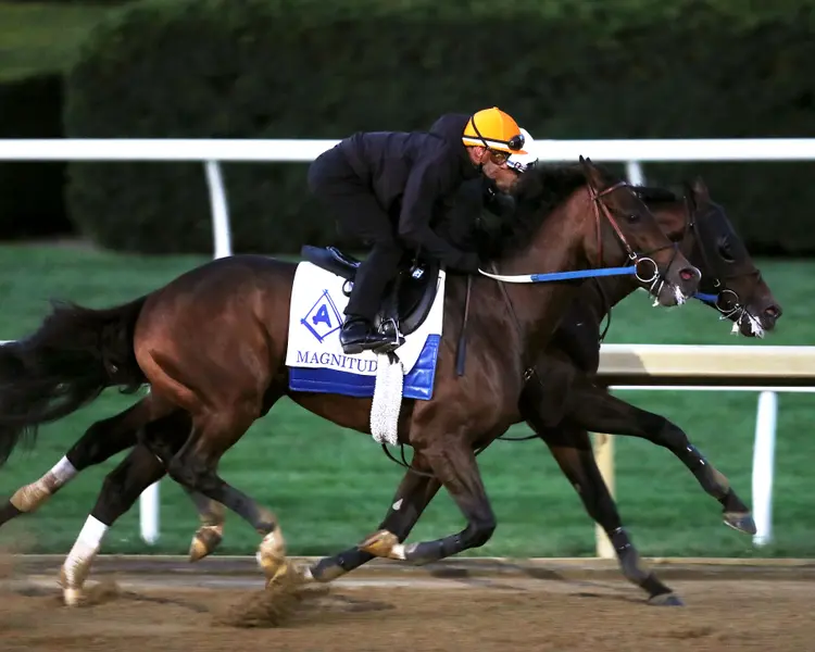 Magnitude - Work - Keeneland Race Course - 10-17-26 - 001 - Renee Torbit