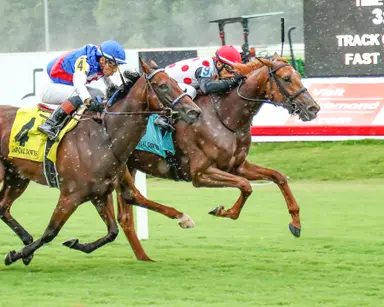 Casse looks to double up in overnight handicaps