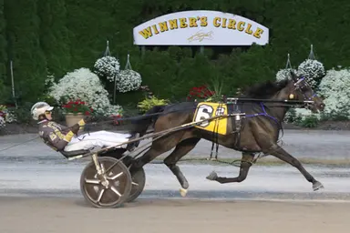 Tioga:  Driving doubles for Buter, Bartlett in New York Excelsior Series finals
