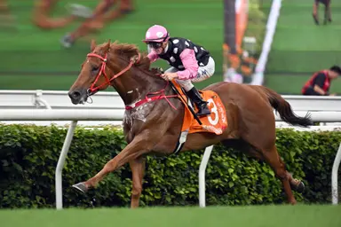 Zac Purton chases fifth G2 Sha Tin Trophy on Beauty Eternal