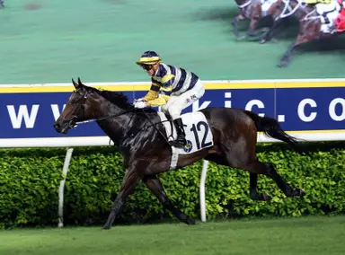 Packing Hermod, Helios Express emerge for barrier trials at Sha Tin