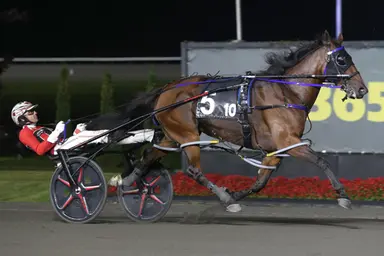 Woodbine Mohawk Park:  No eliminations required for Milton Stakes