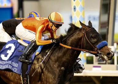 Baffert trying to make Pacific Classic with Nevada Beach