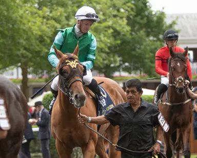 Fanshell Beach will be a handful on turf or dirt in Riverside Rush