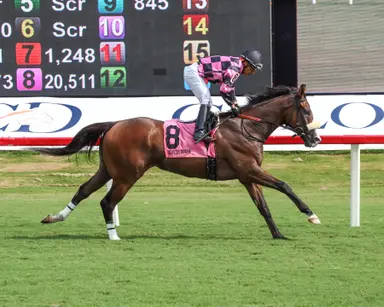 Thundering has little trouble with Find Stakes