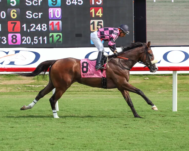 THUNDERING - The Find Stakes - 08-15-26 - R08 - Colonial Downs - Finish 01