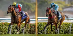 World’s top-rated sprinter Ka Ying Rising and Triple Crown winner Romantic Warrior declared co-Hong Kong Champions