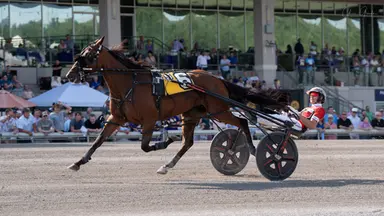 The Meadows:  Shacarri, Be Perfect BG score in Mickey Burke Adioo Volo