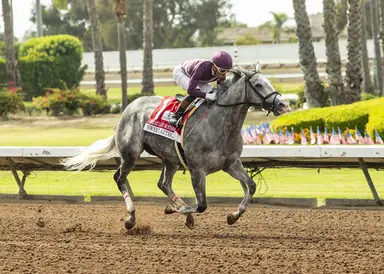 Sweet Azteca seeks summer double hat trick in Rancho Bernardo
