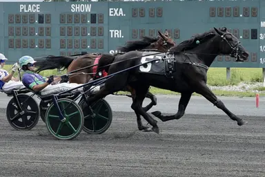 Harrah's Philadelphia:  Carve slices her way to track record in PA Sire Stakes victory