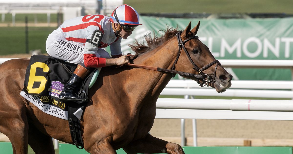 Domestic Agenda gives Brown record 10th Miss Grillo triumph