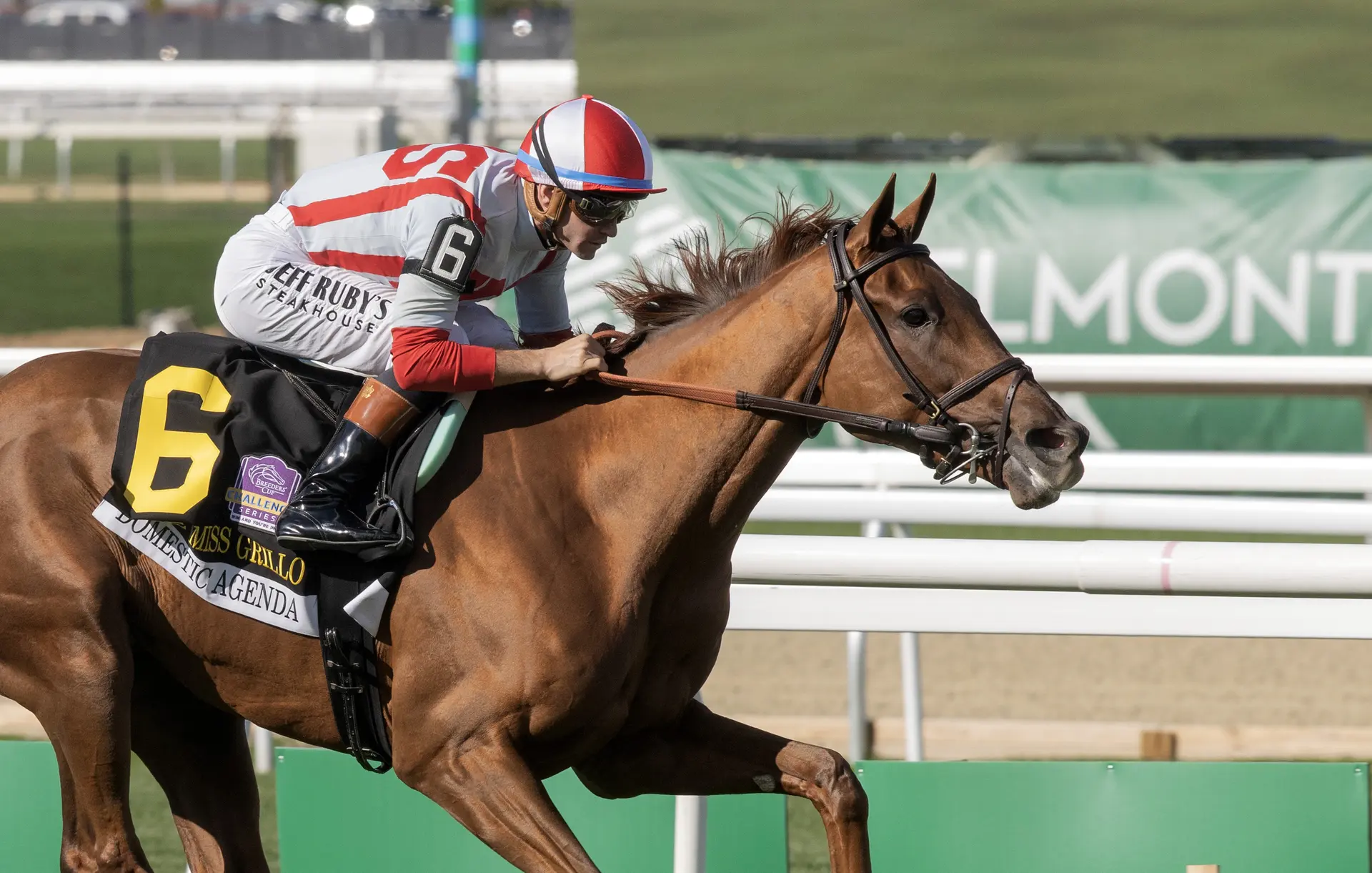Domestic Agenda gives Brown record 10th Miss Grillo triumph