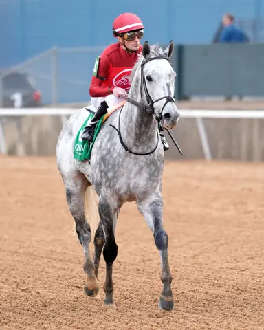 Roll On Big Joe won't run again before Breeders' Cup Sprint