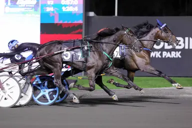 Woodbine Mohawk Park:  Detonater Hanover delivers in OSS Gold Series