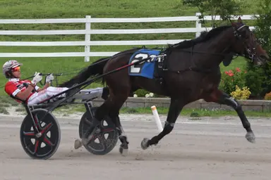 Oak Grove:  Trotters clash in 17 Kentucky Sire Stakes contests